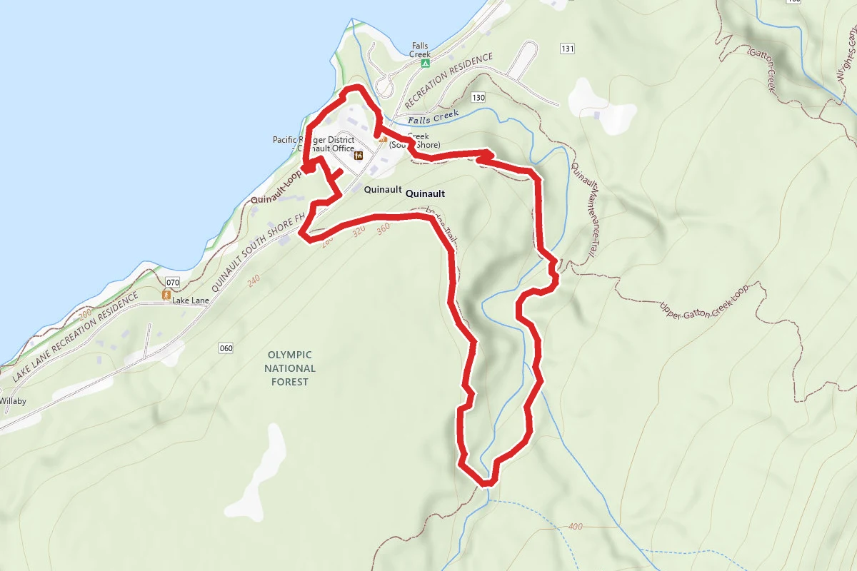 Falls Creek and Quinault Loop Trail