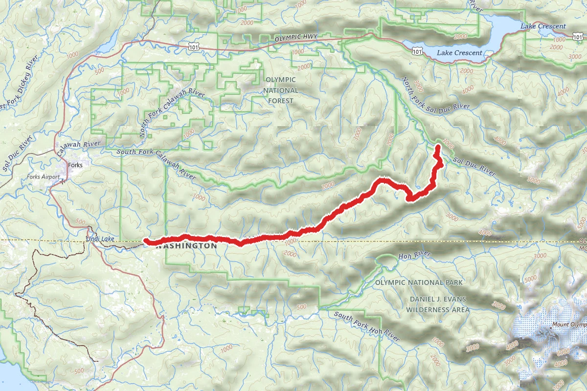 Bogachiel River Trail