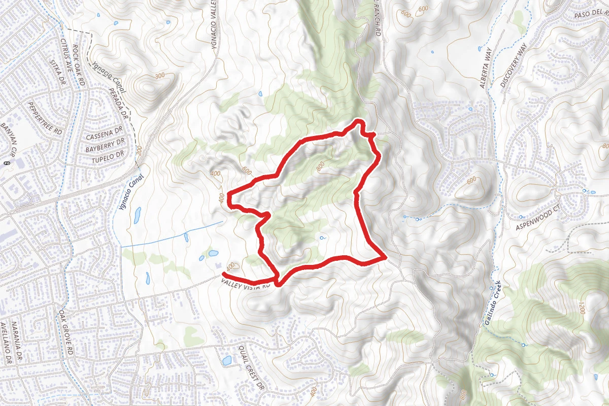 Paraiso, Manzanita and Ohlone Trail Loop