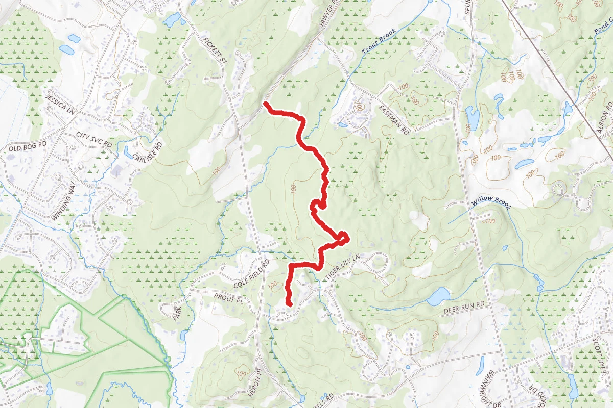 Winnick Woods Trail