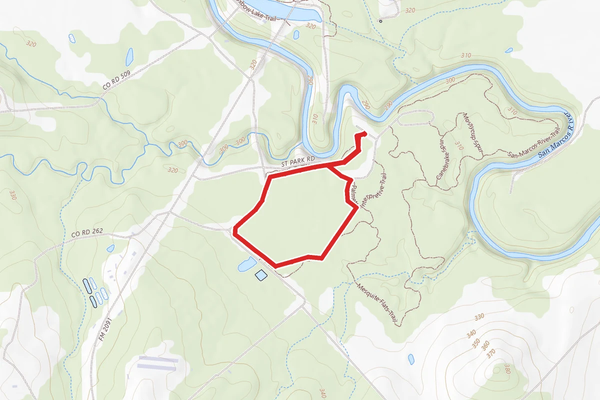 Ottine Swamp Trail
