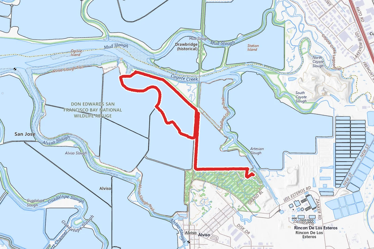 Don Edwards National Wildlife Refuge