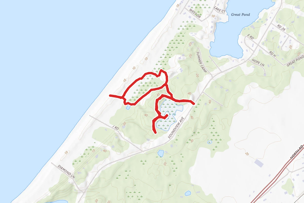 Sound View Dunes Park Forest Trail