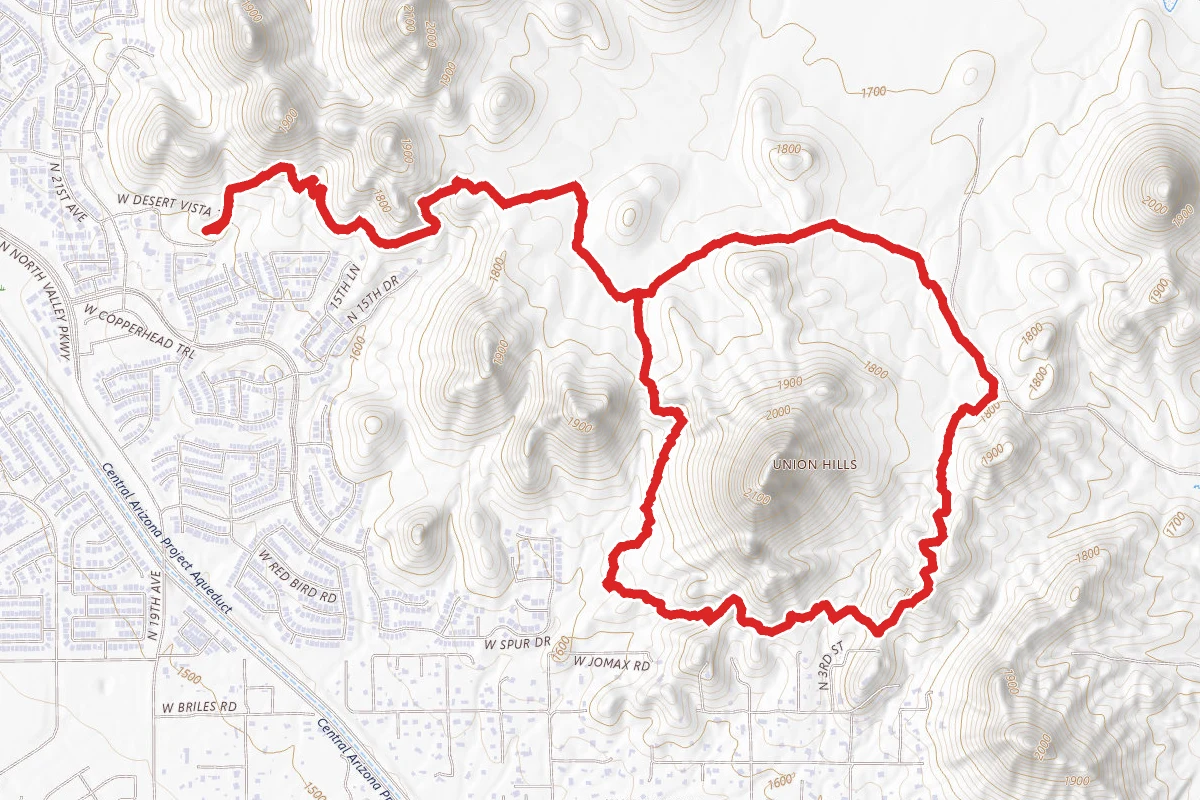 Cactus Wren to Great Horned Owl Loop