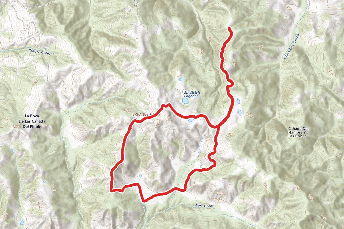 Briones Road to Briones Crest Trail Loop