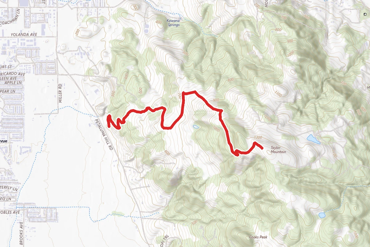 Taylor Mountain via Western and Eastern Route
