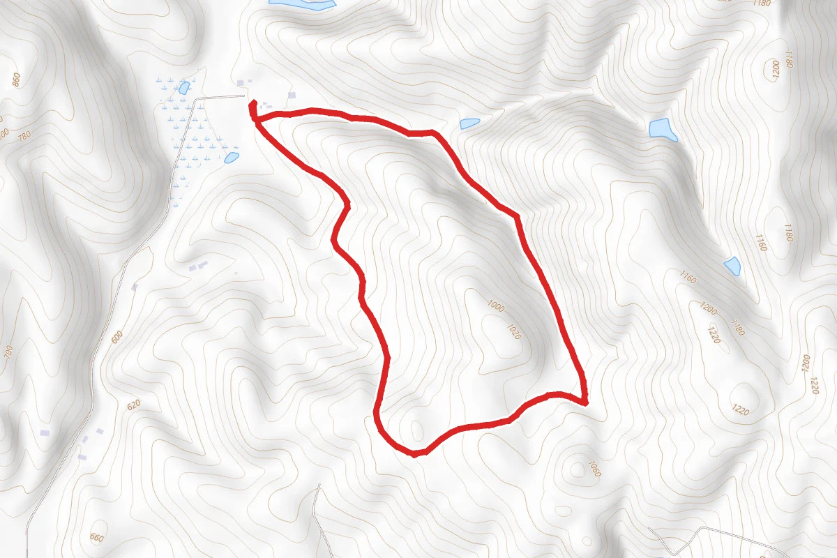 Laughlin Loop Trail