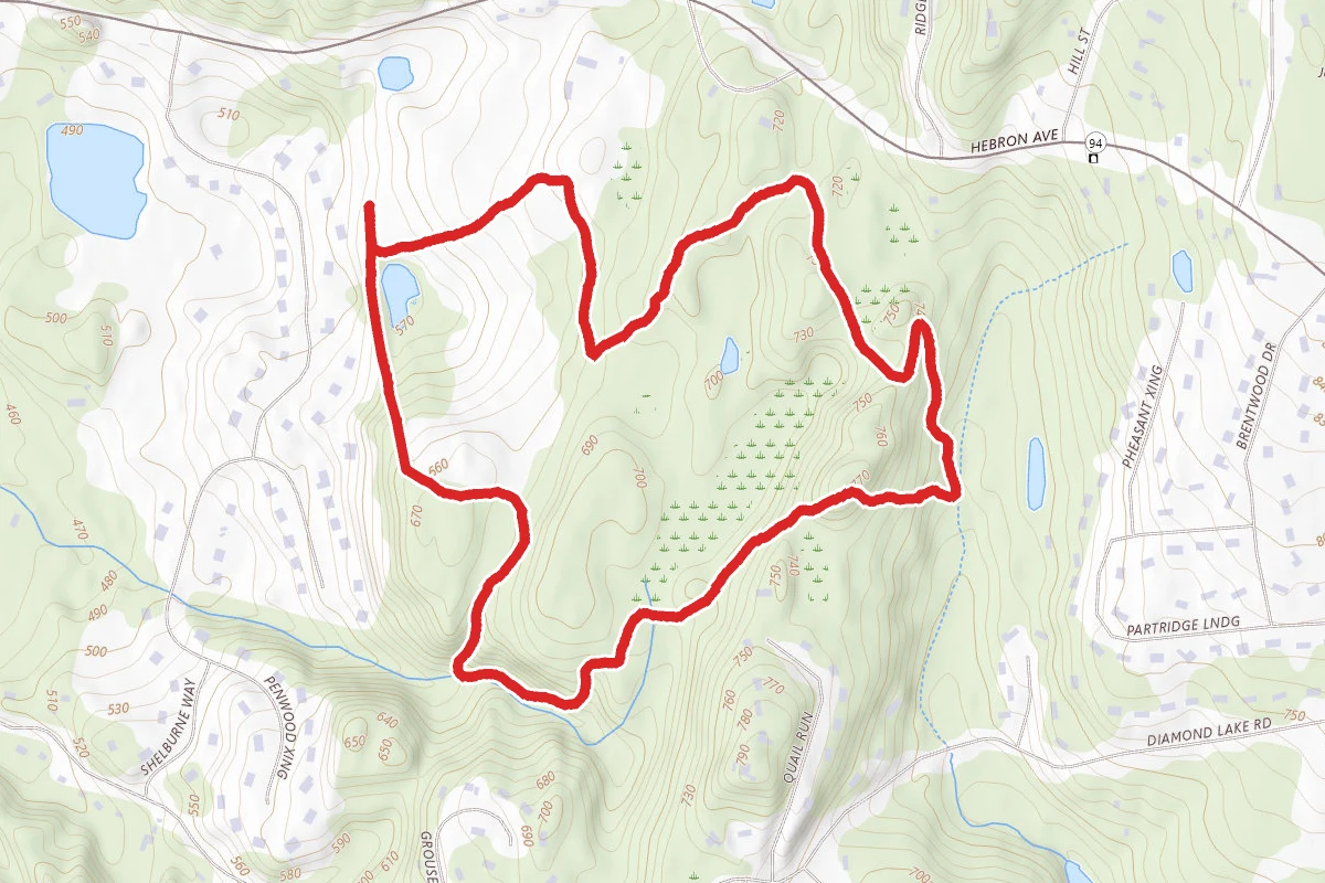 Longo Farm Outer Loop