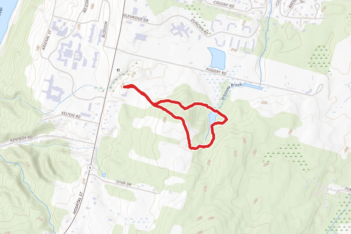 Viles Arboretum (formerly Pine Tree State Arboretum)