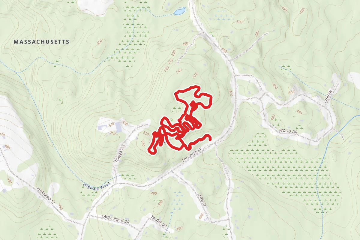 Mendon Town Forest Blue Loop