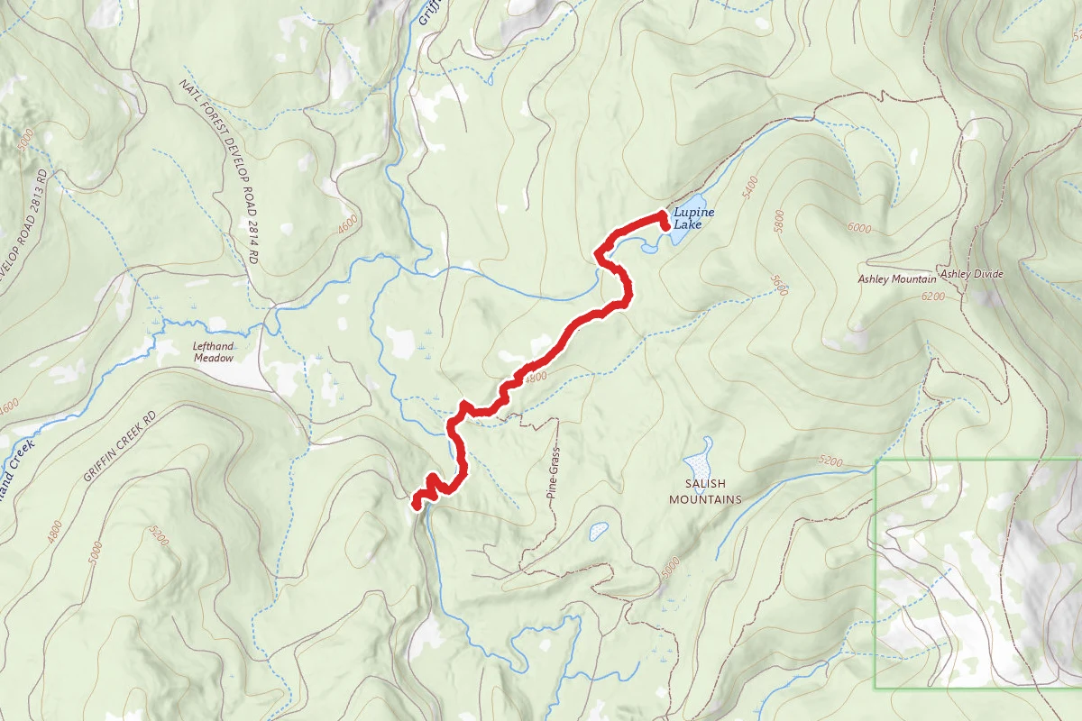 Lupine Lake Trail