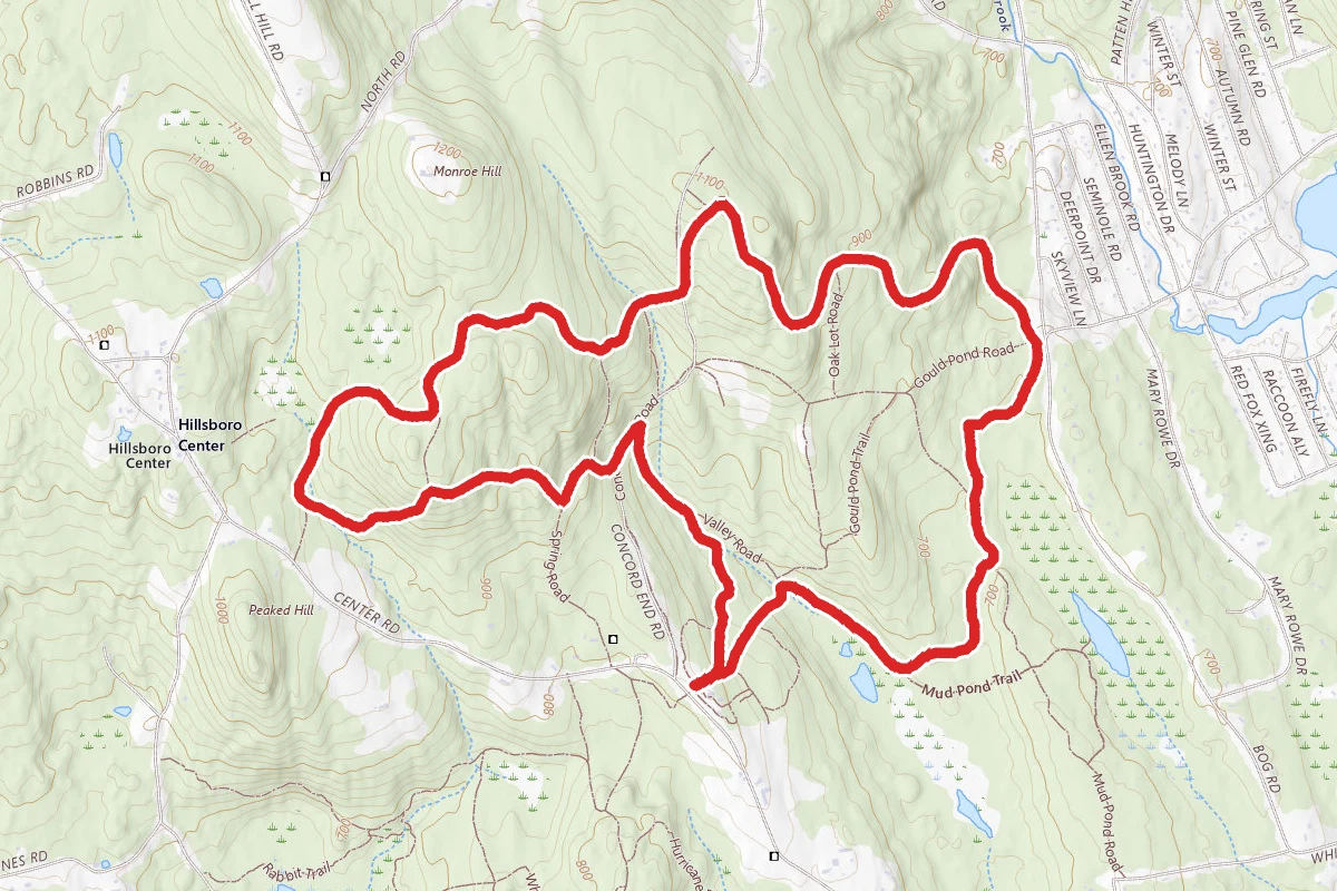 Fox State Forest Ridge Trail Loop