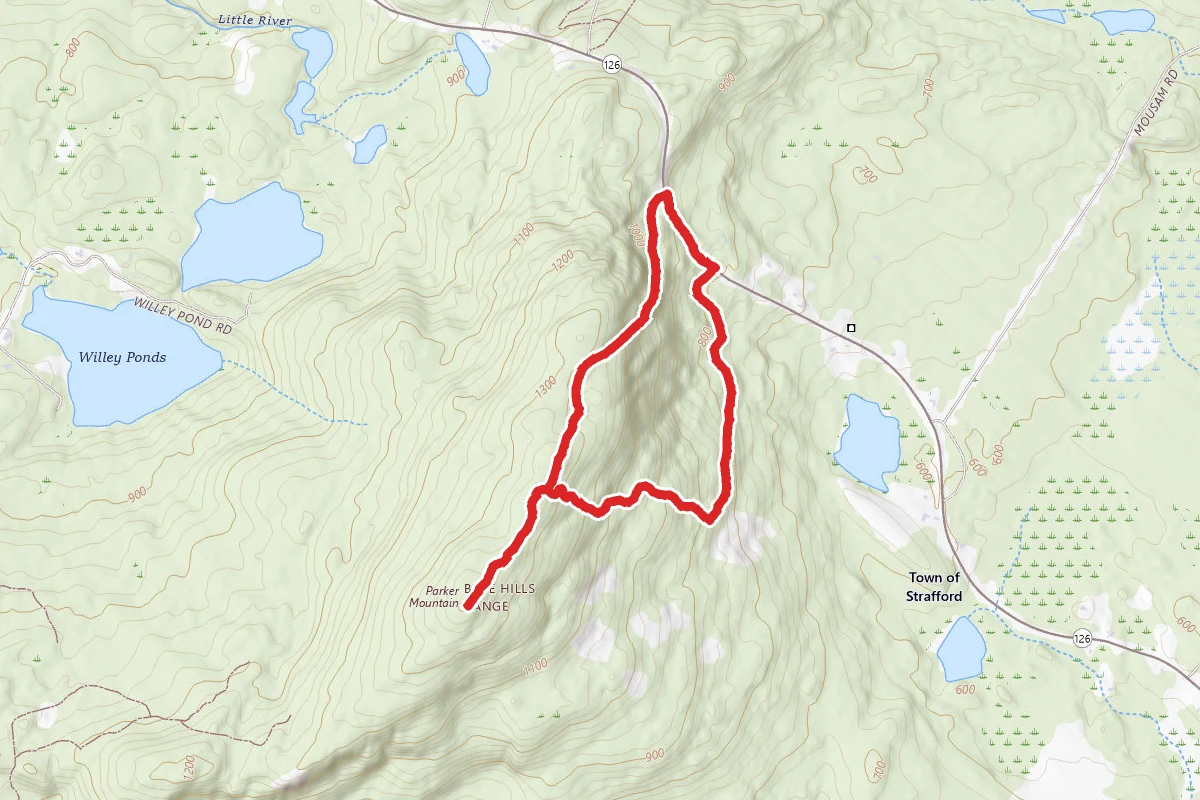 Parker Mountain via Spencer Smith and Neil Mooers Trail