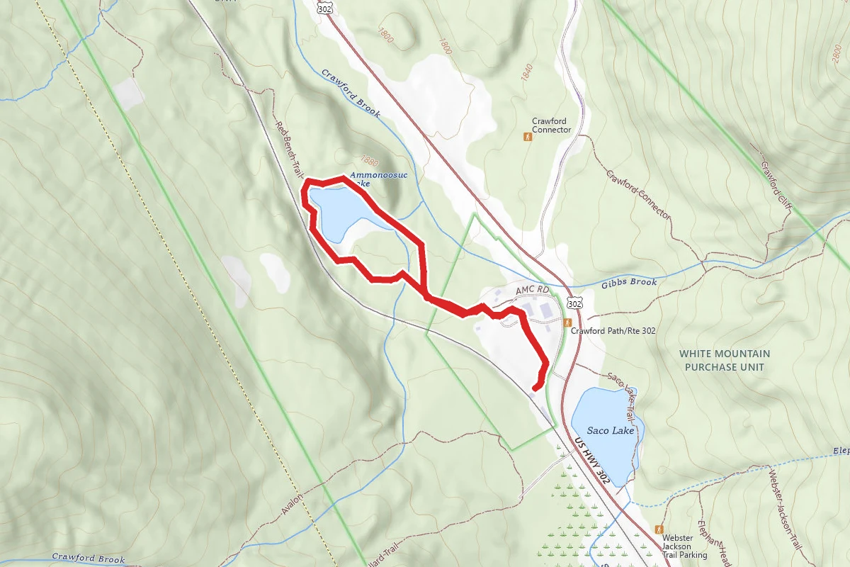 Ammonoosuc Lake Trail