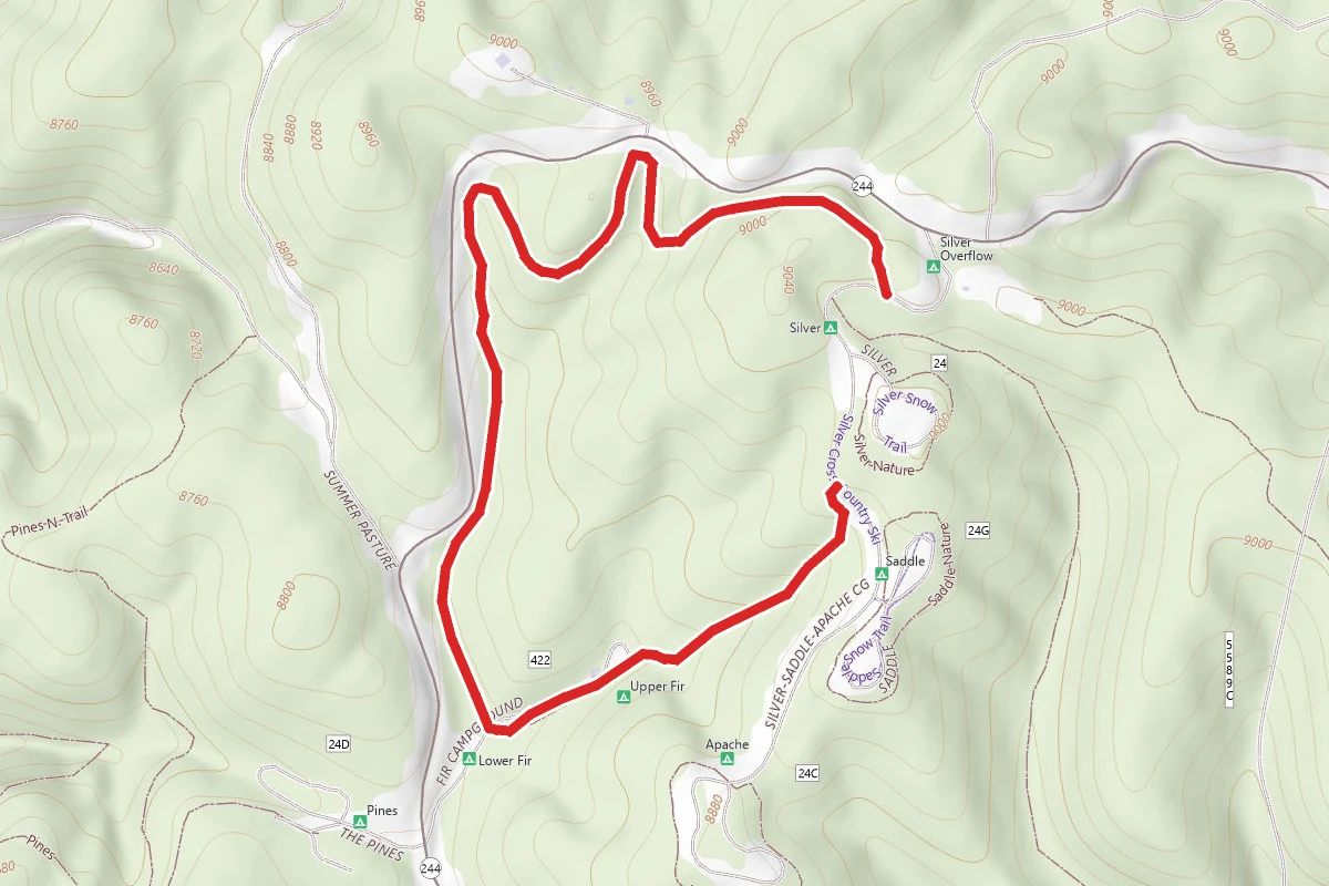 Fir Trail