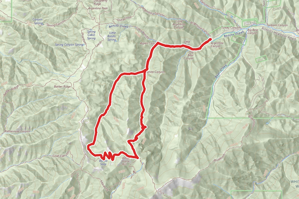 Big Bonita Trail to White Horse Hill and Aspen Trail