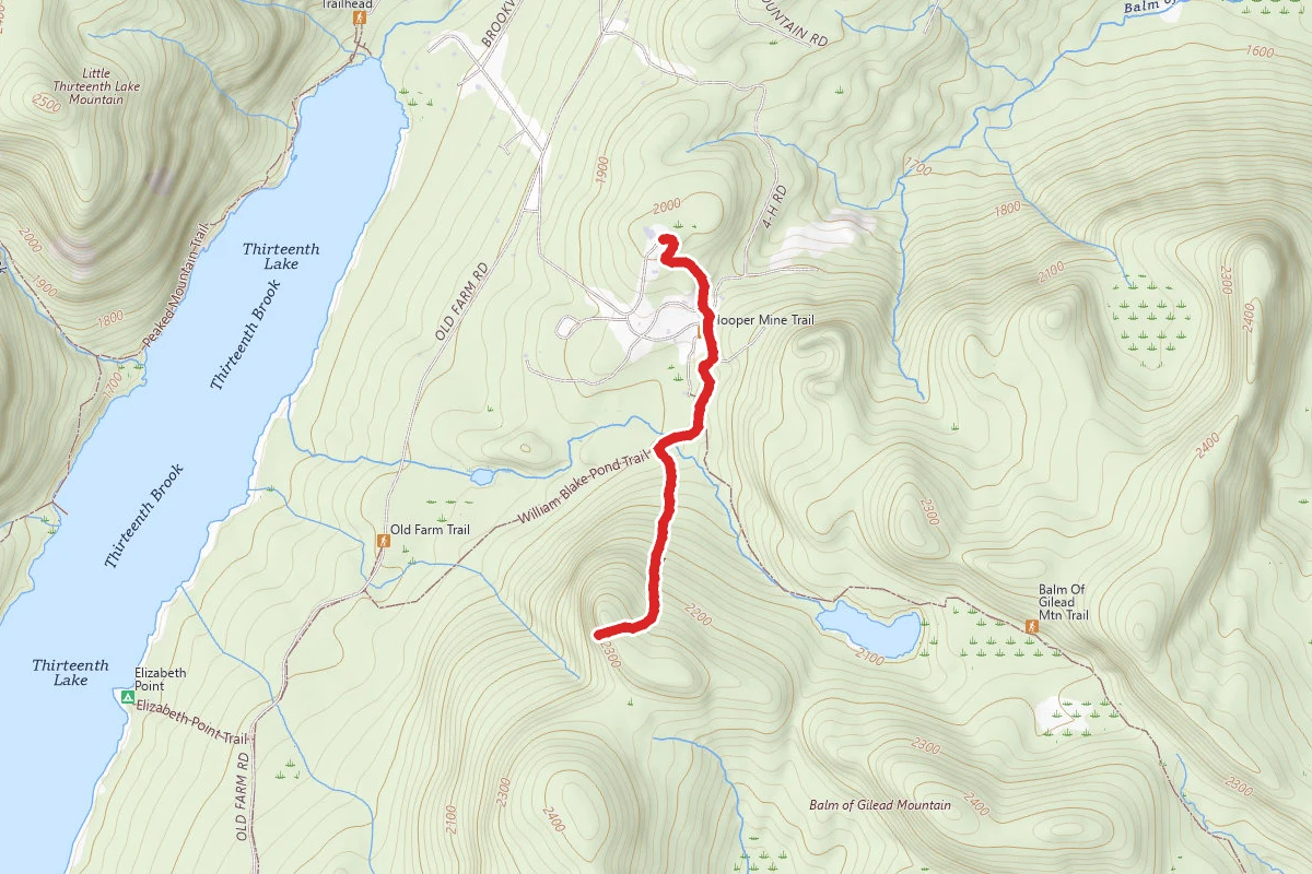 Balm of Gilead Trail