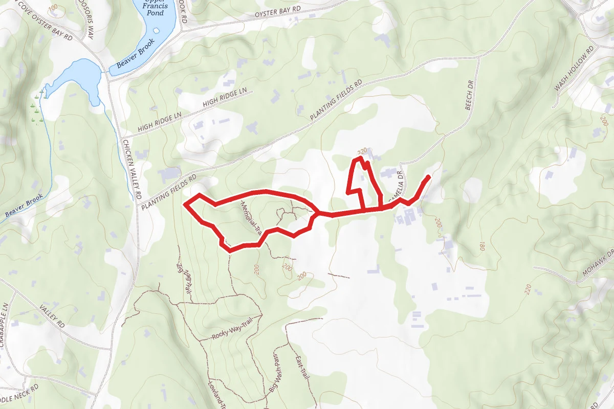 Planting Fields Arboretum Trail