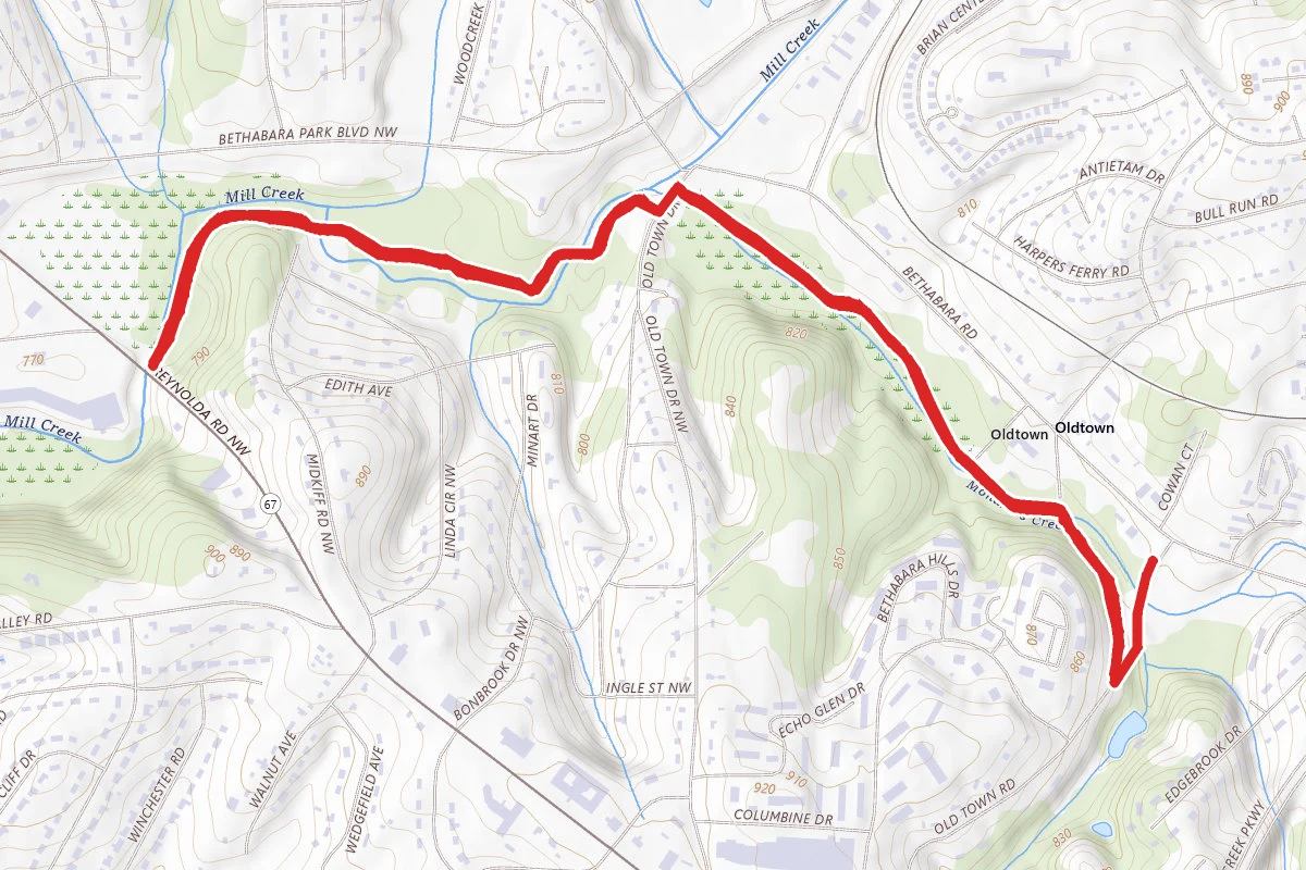 Bethabara Park Trail
