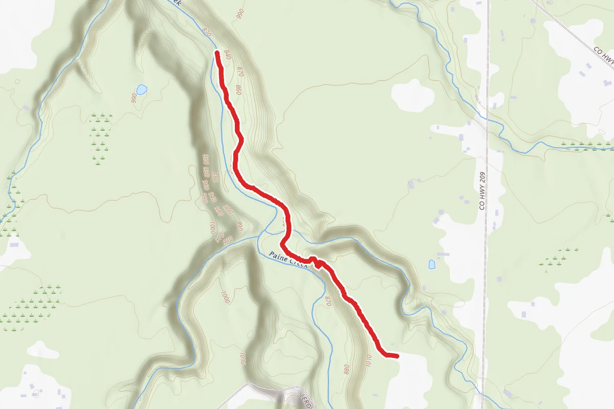Beech Ridge Loop Trail and Wildcat Trail