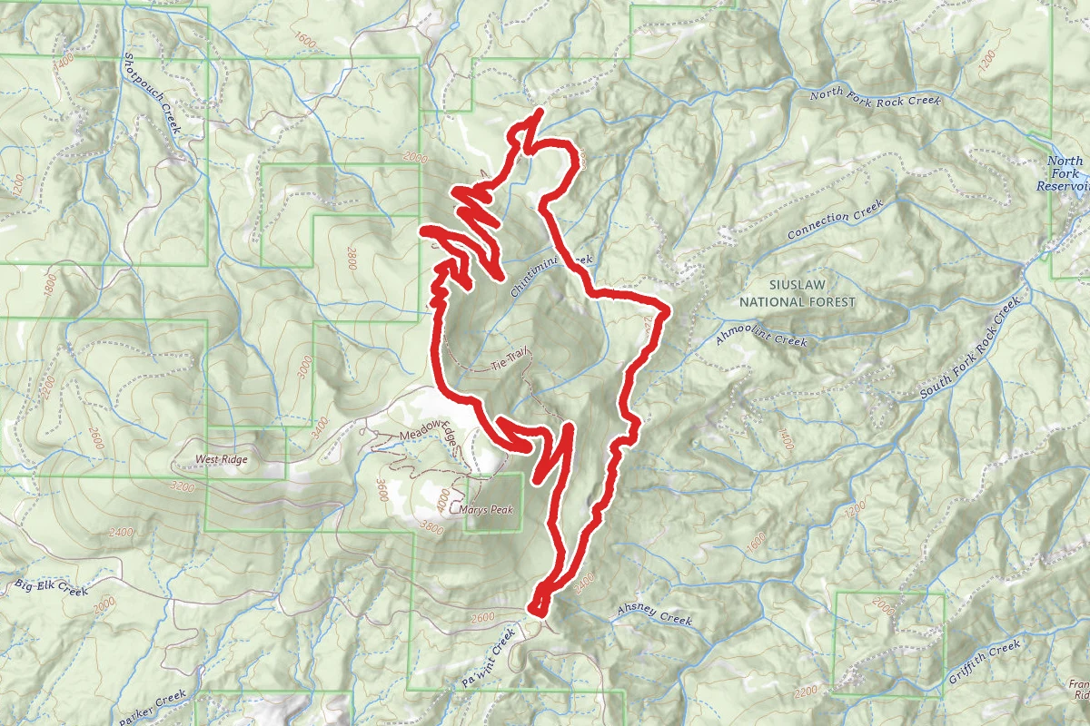 Marys Peak East Ridge and North Ridge Loop