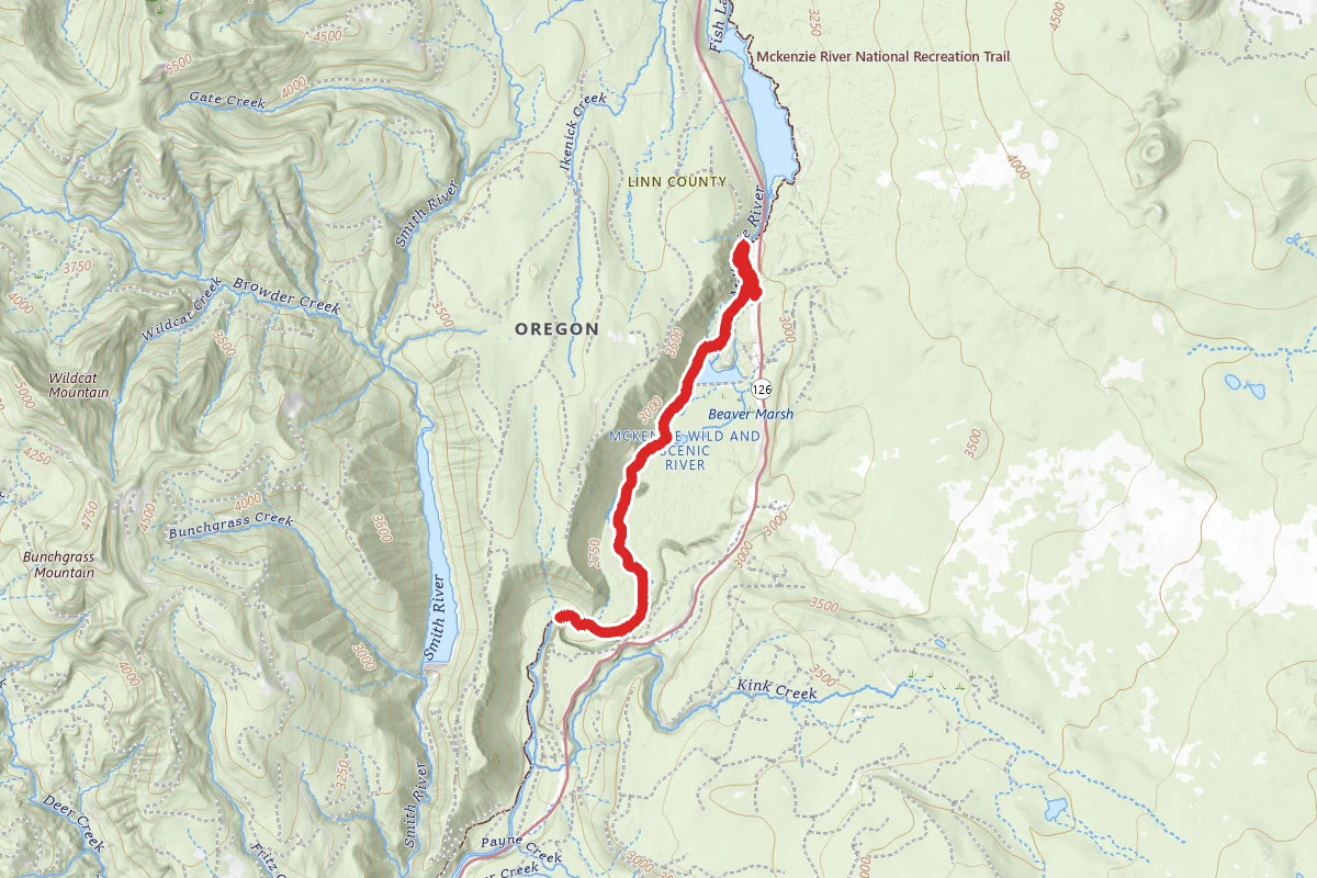 Sahalie Falls, Koosah, and Tamolich Falls via McKenzie River Trail
