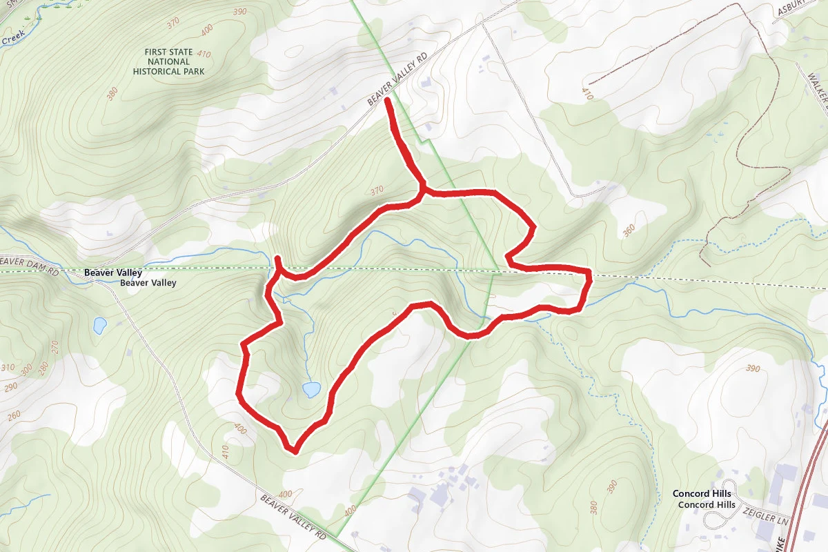 Woodlawn Short Loop
