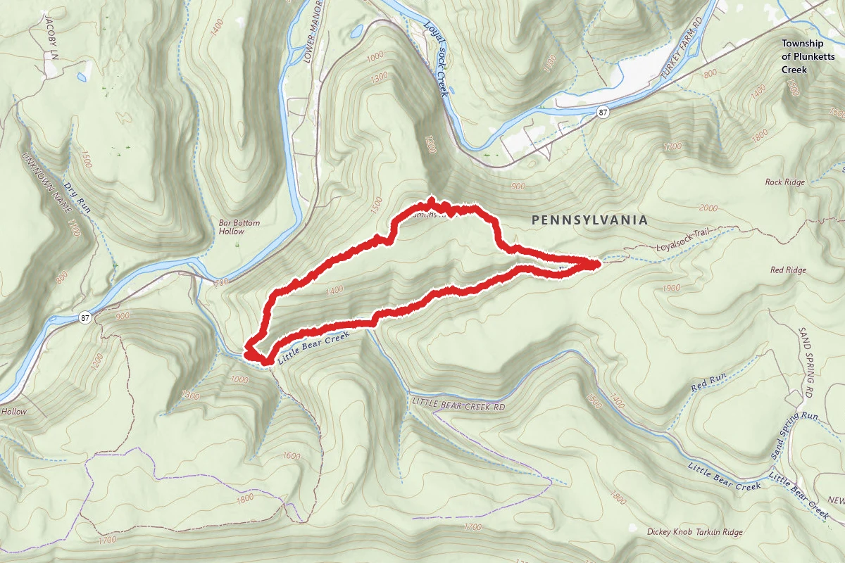 Loyalsock and Little Painter Loop