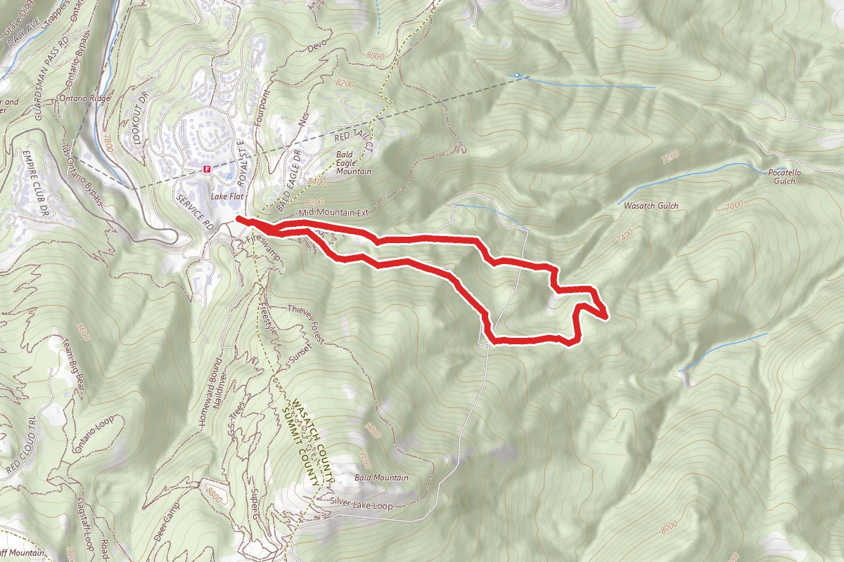 Sultan Out and Back to Suntan Connection Loop