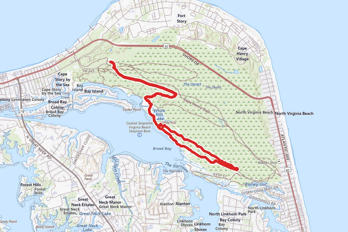 Osprey Trail via Cape Henry Trail
