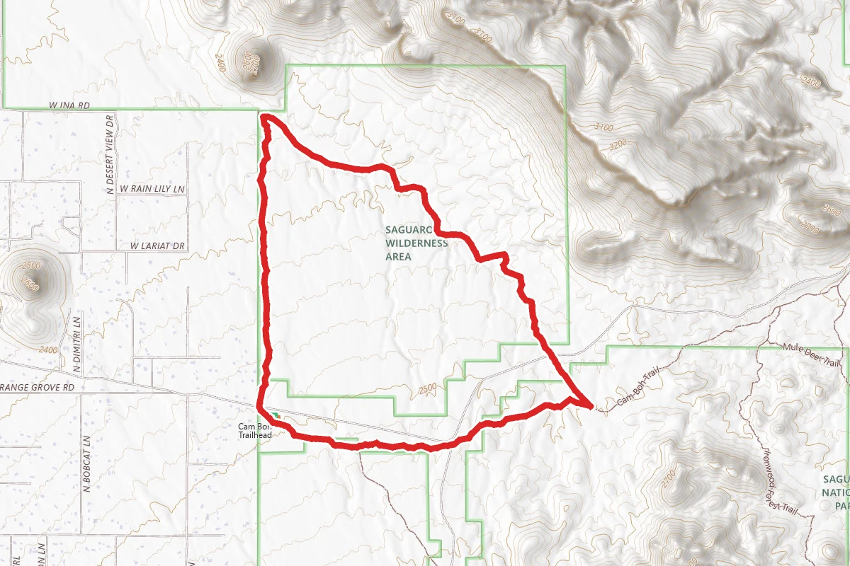 Panther Peak Wash - Roadrunner Loop