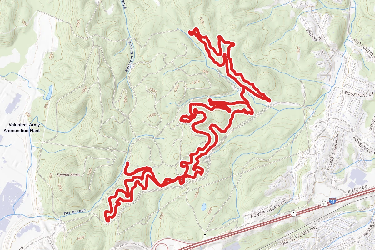 Black Forest, TNT, and Log Rhythm Trail
