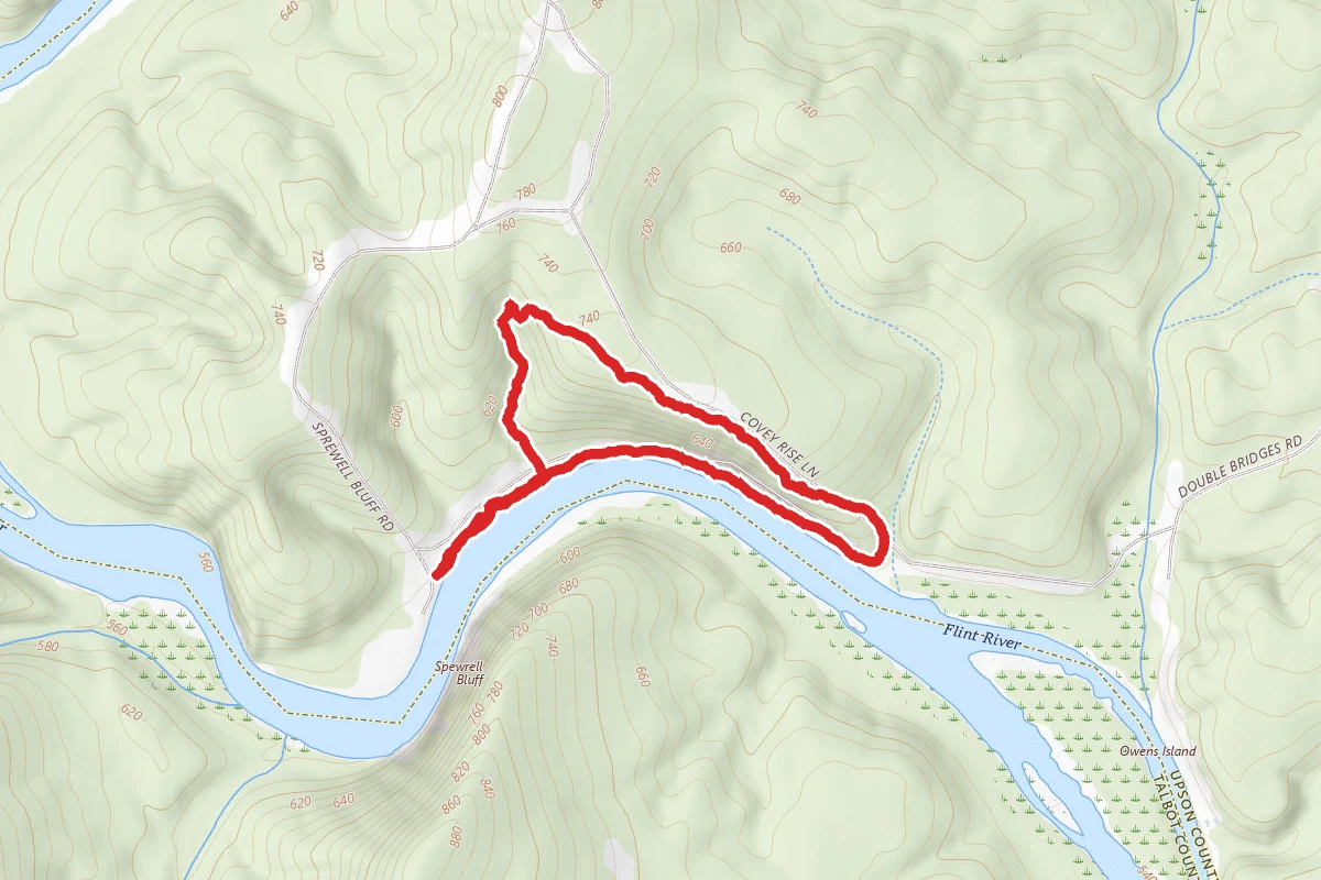 Long Leaf Pine Trail Loop