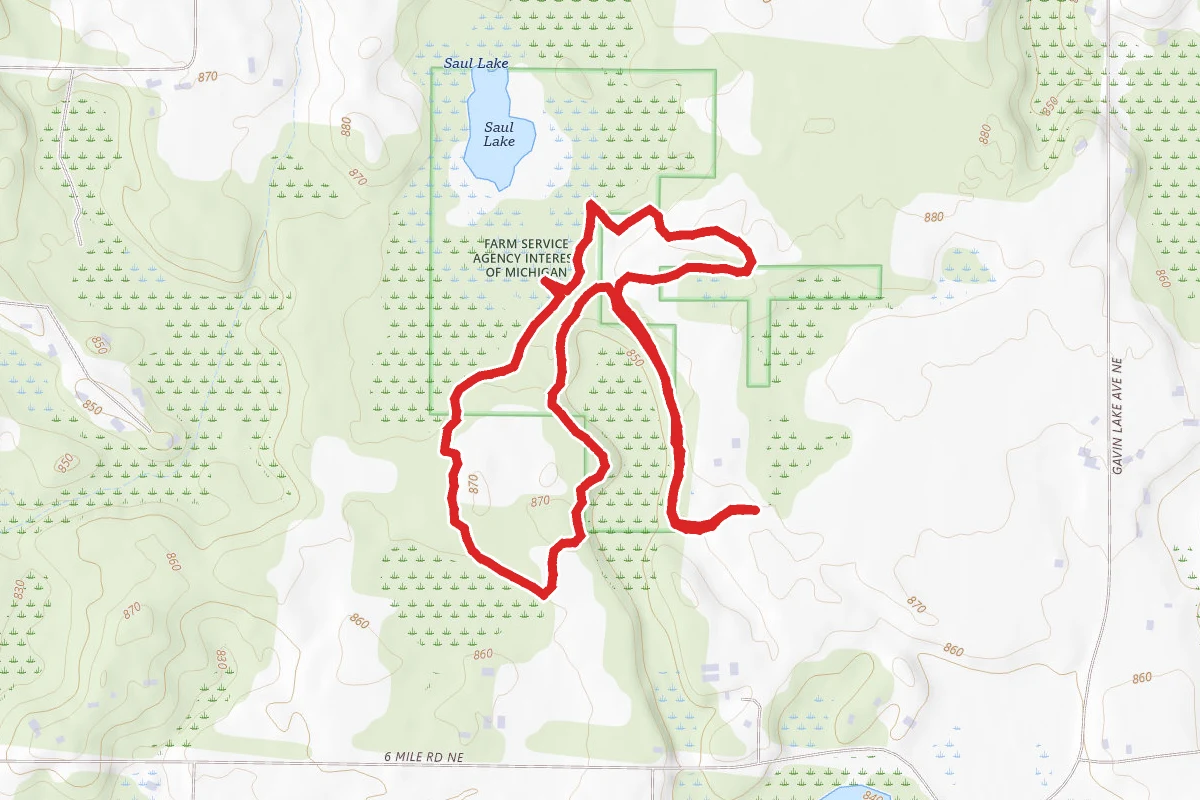Saul Lake Bog Nature Preserve Trail