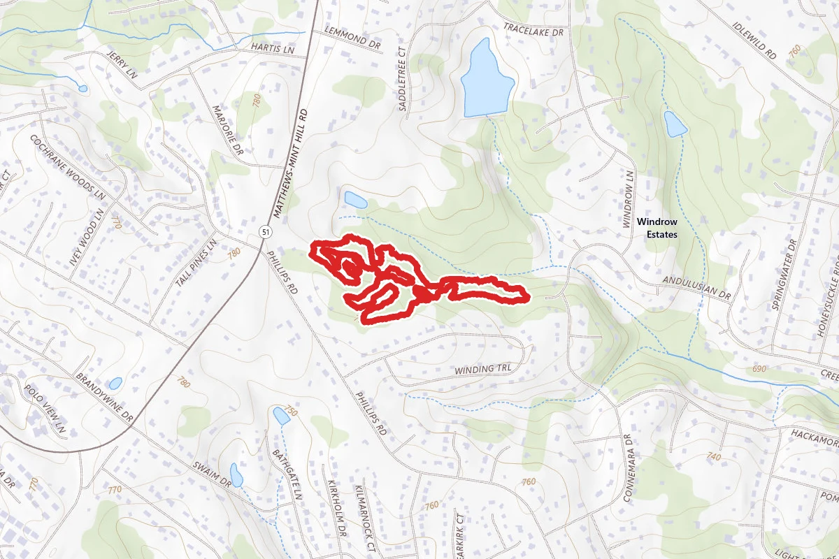 Purser-Hulsey Main Loop