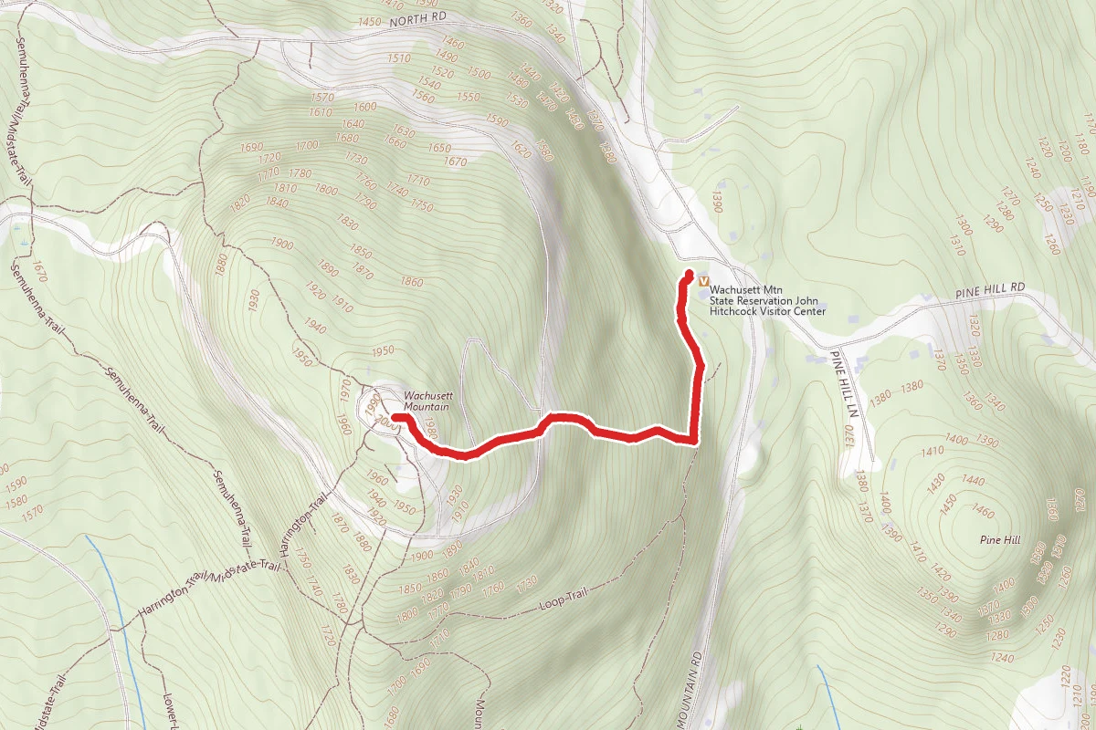 Wachusett Mountain via Bicentennial and Pine Hill Trails