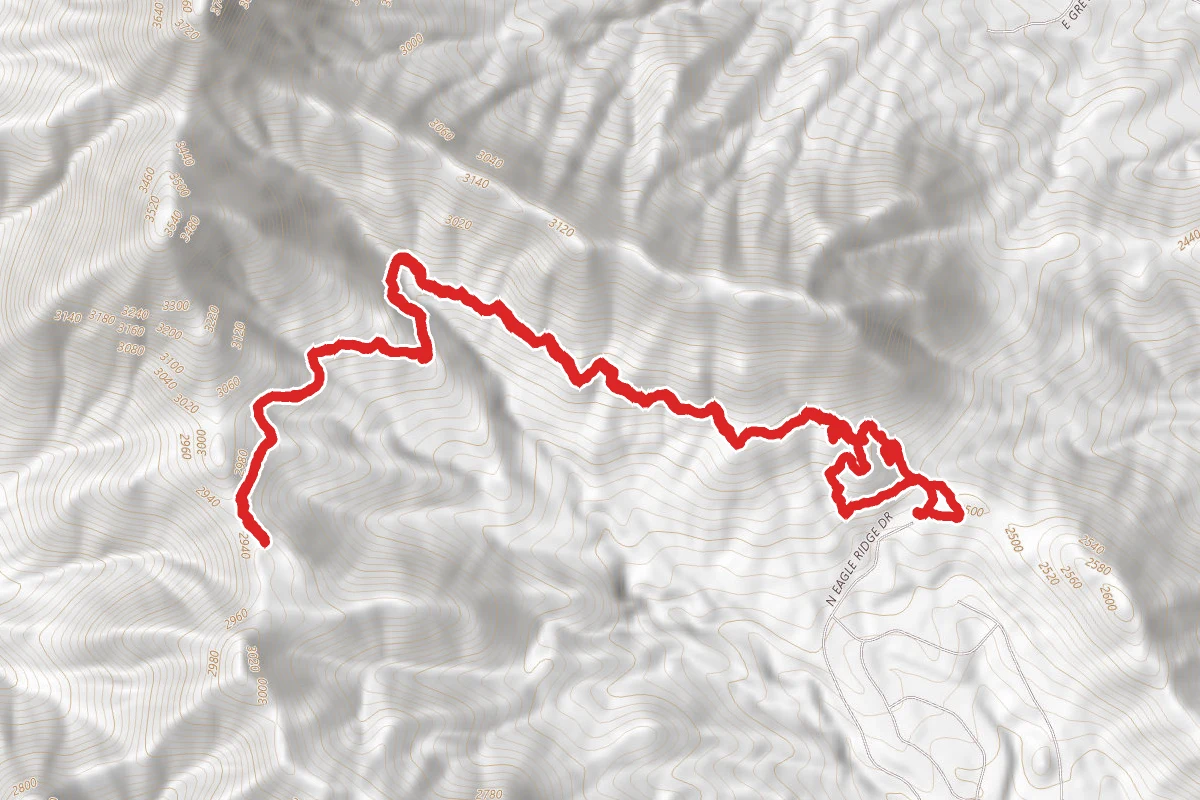 Andrews Kinsey Trail