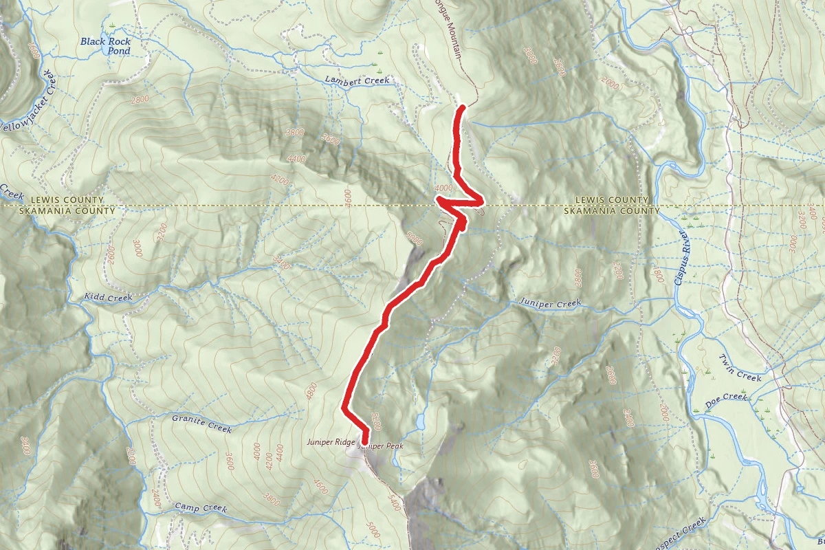 Juniper Peak Summit Trail