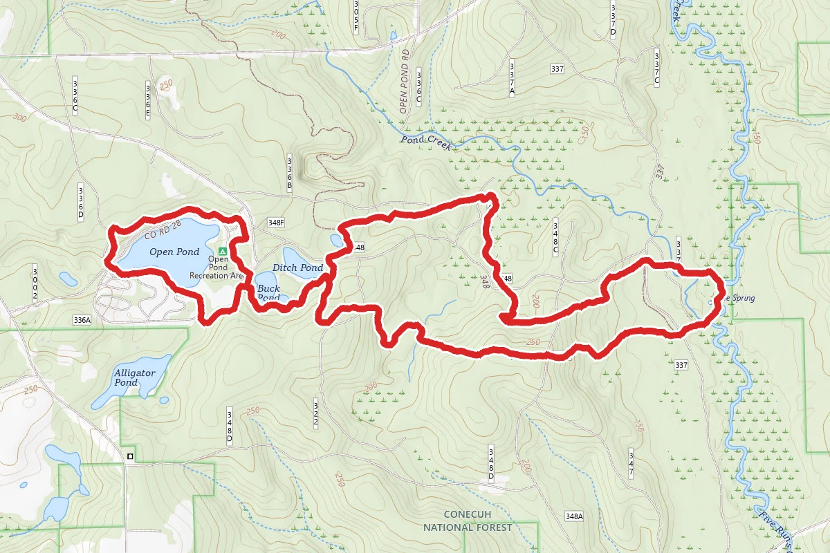 Conecuh South Loop Trail