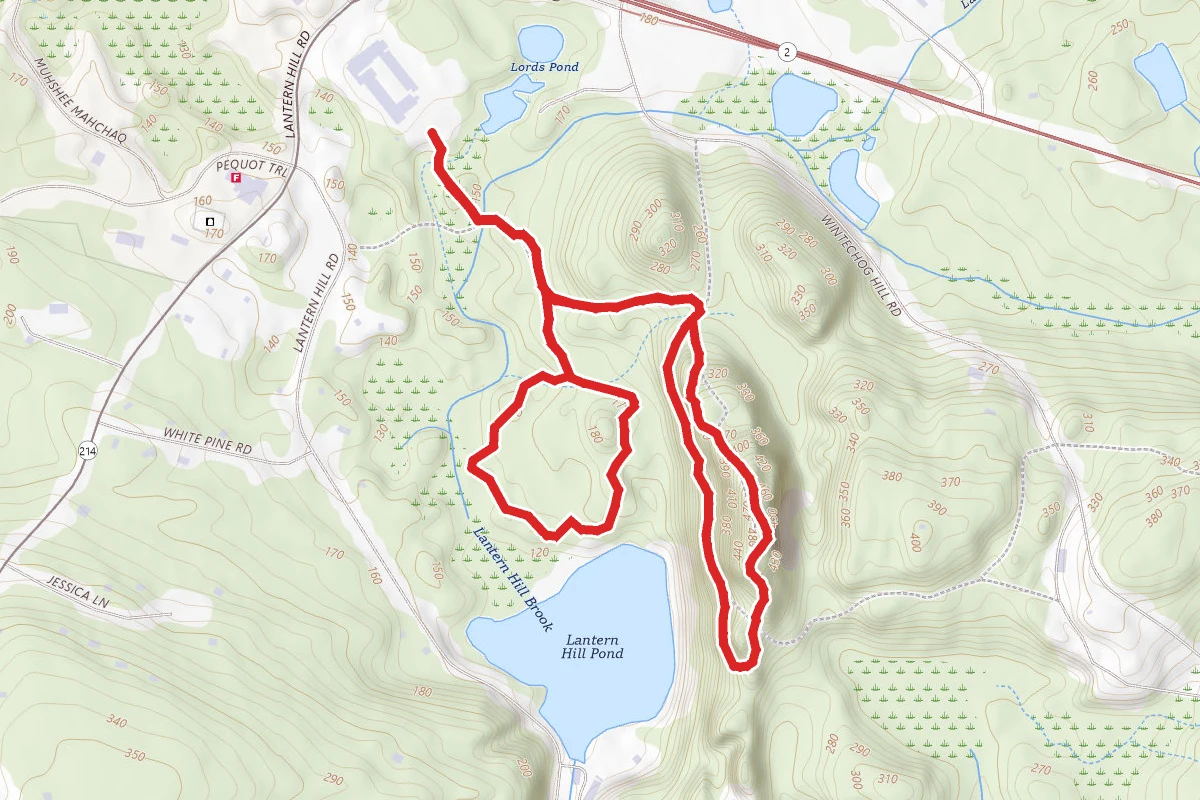 Lantern Hill Trail