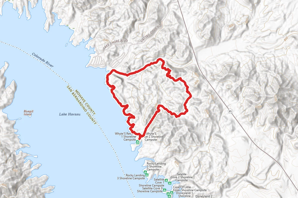 Cattail Cove Perimeter Loop