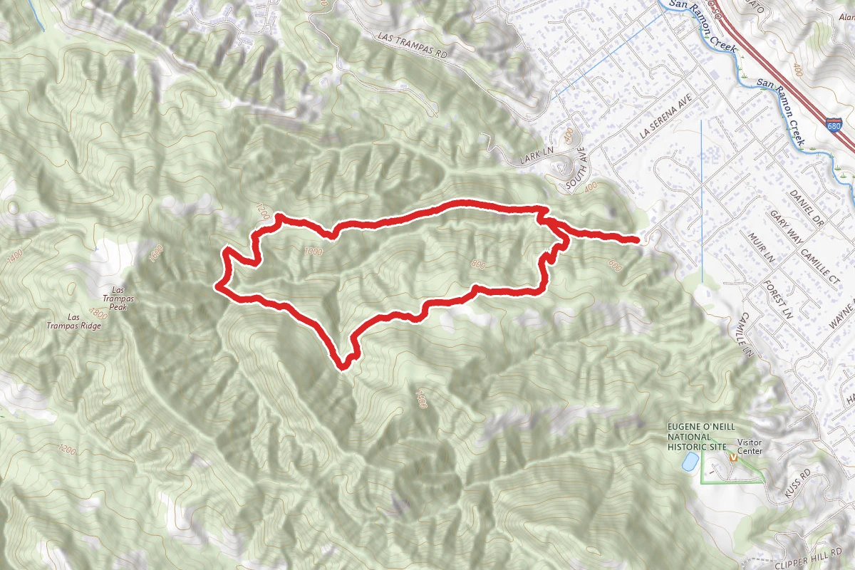 Madrone Trail and Dewies Birthday Loop