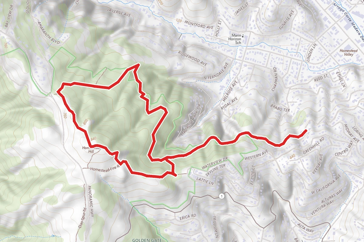 Homestead Hill via Lattie to Greenhill