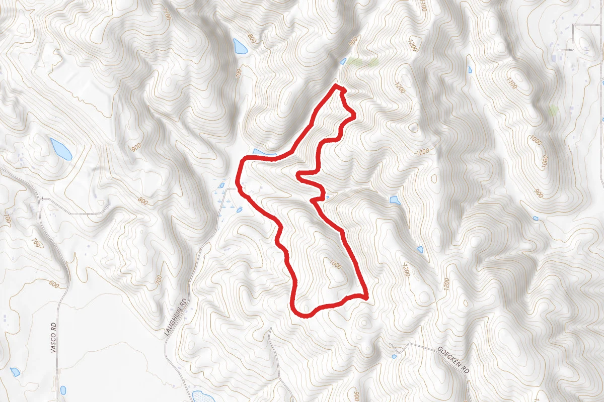Brushy Peak South Loop with Tamcan Trail and Laughlin Loop Trail