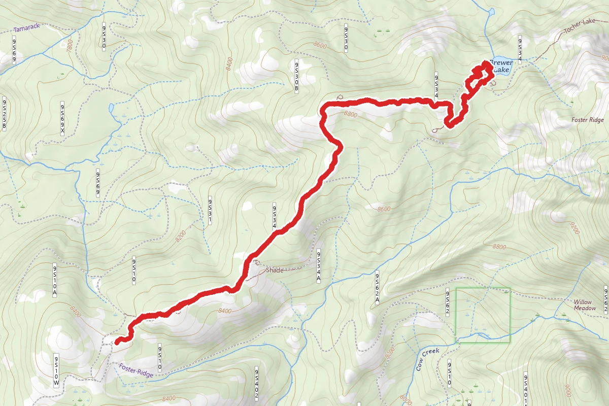 Brewer Lake OHV Trail