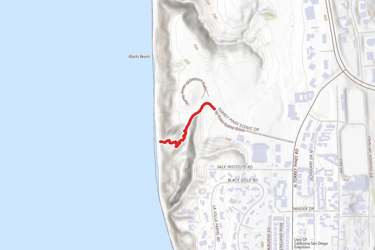 Black's Beach from Gliderport