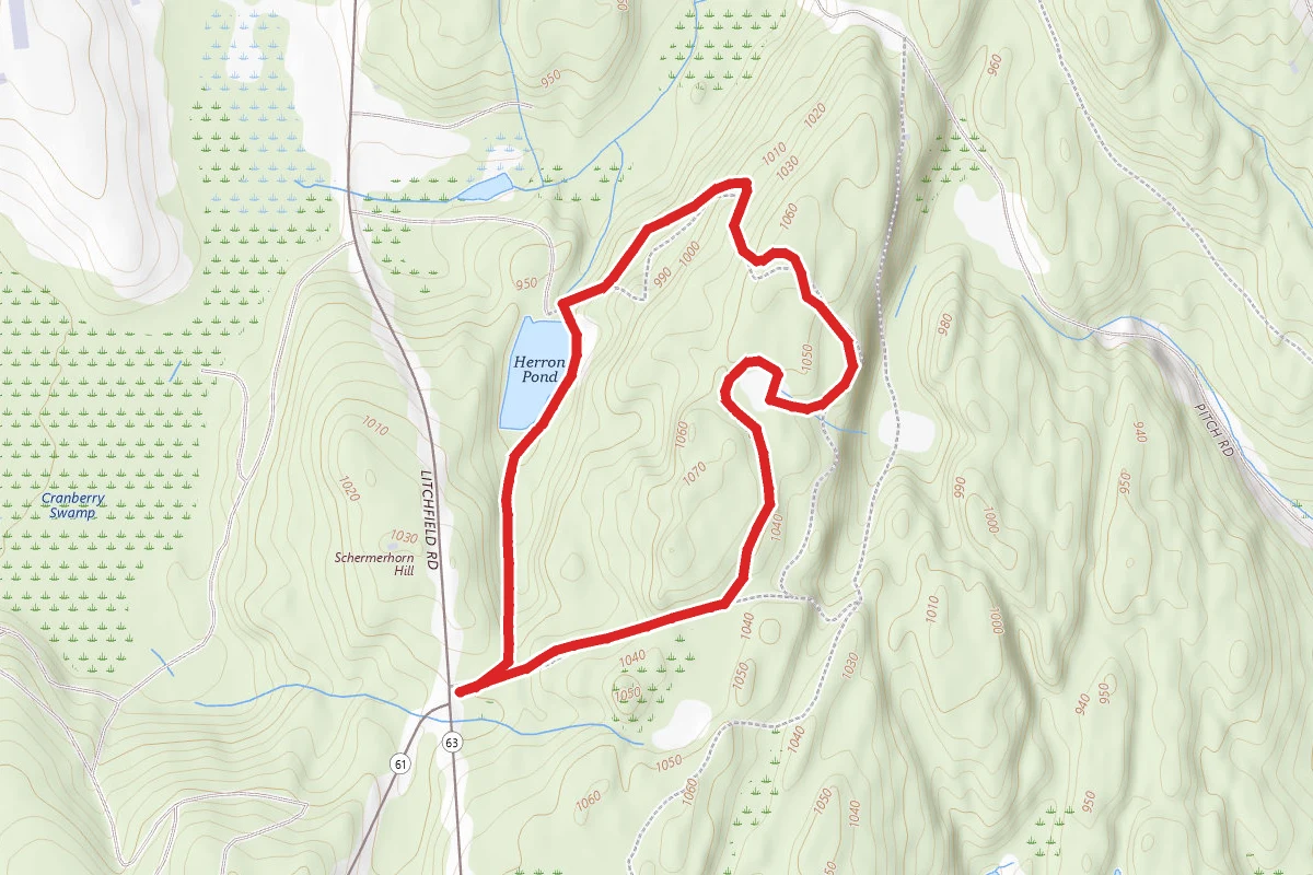 Herron Pond Loop