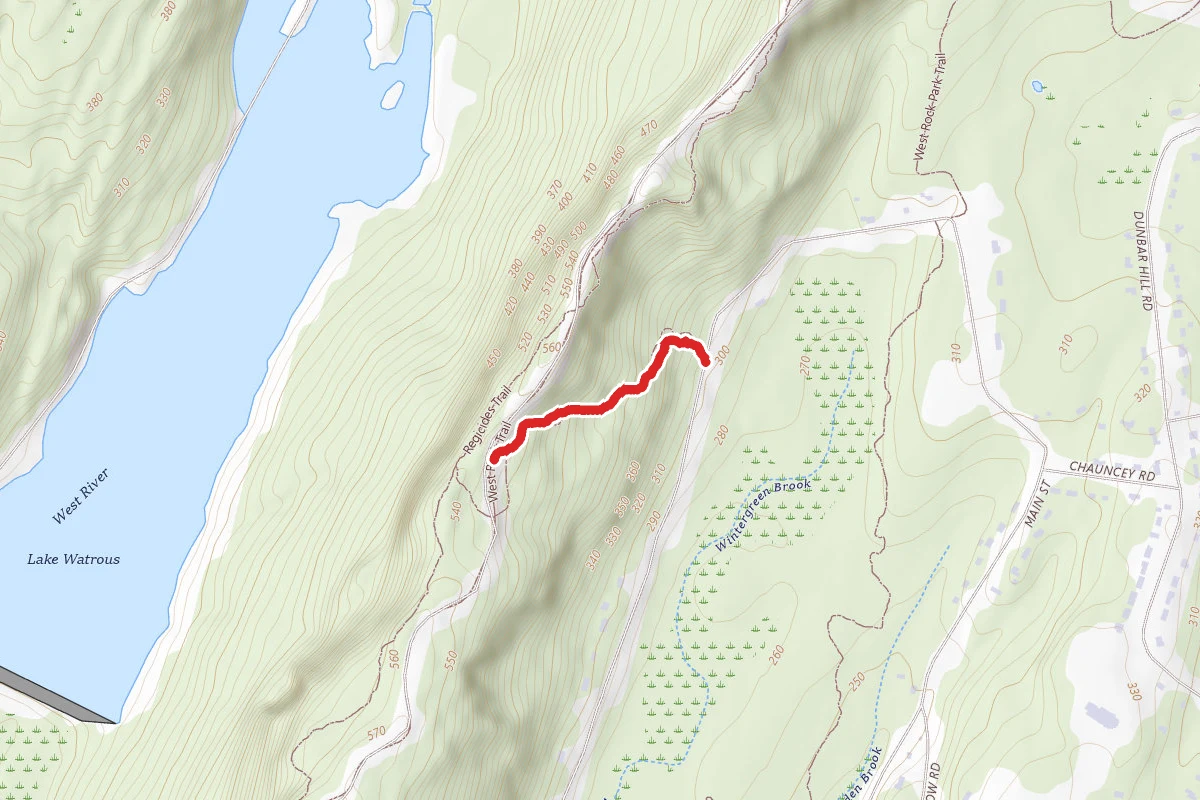 West Rock Yellow Trail