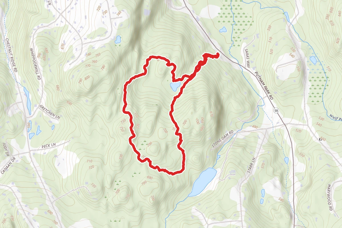 Stephenson Preserve Loop
