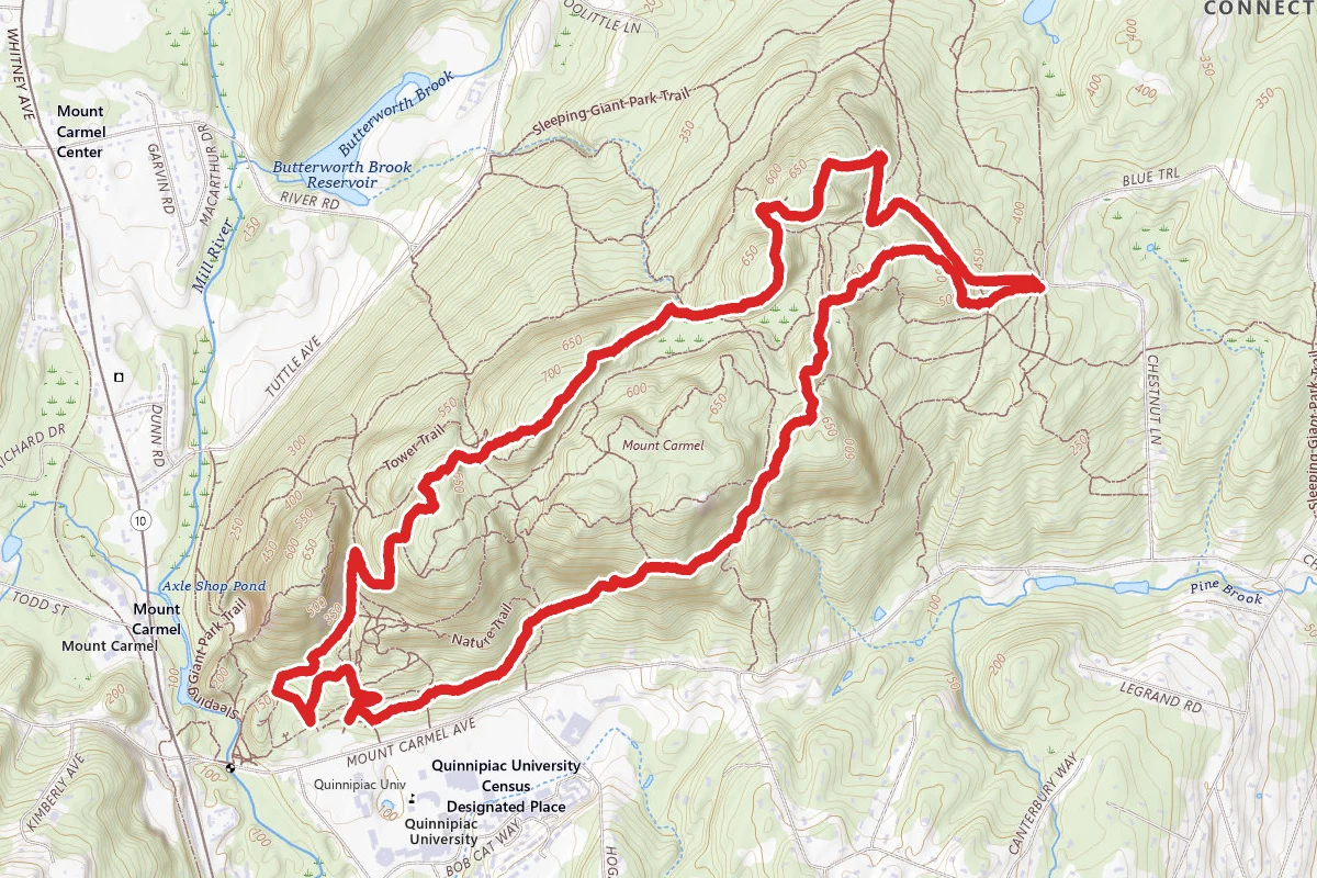 Hezekiah's Knob and the Chestnut Grove Trail